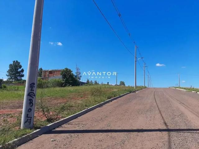 Terreno / Lote para Venda em Santa Maria/RS Tomazetti