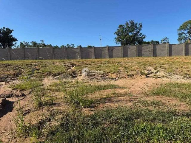Terreno / Lote para Venda em Santa Maria/RS Tomazetti