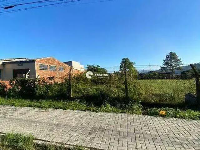 Terreno / Lote para Venda em Santa Maria/RS Tomazetti