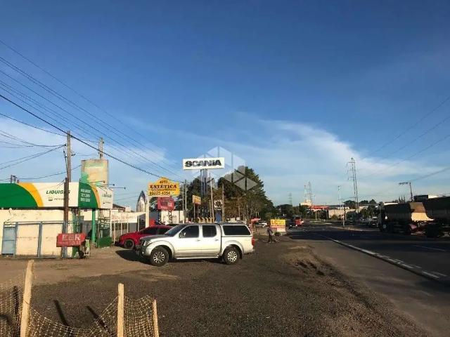 Terreno / Lote para Venda em Santa Maria/RS Tomazetti