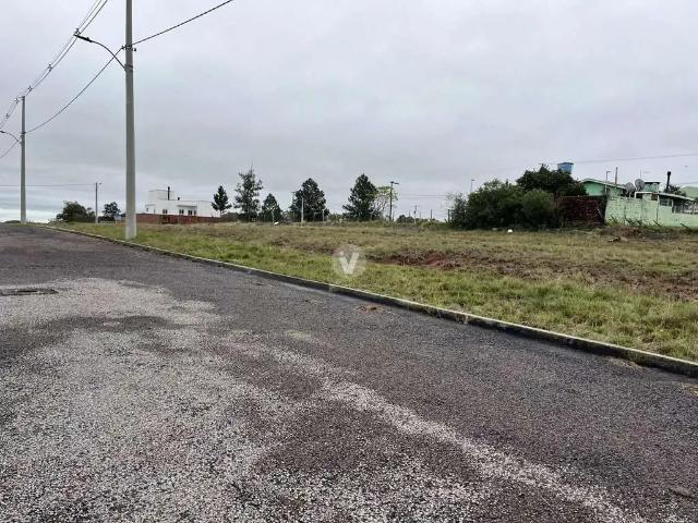 Terreno / Lote para Venda em Santa Maria/RS Tomazetti
