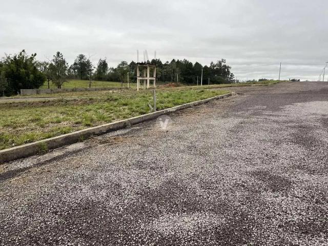 Terreno / Lote para Venda em Santa Maria/RS Tomazetti
