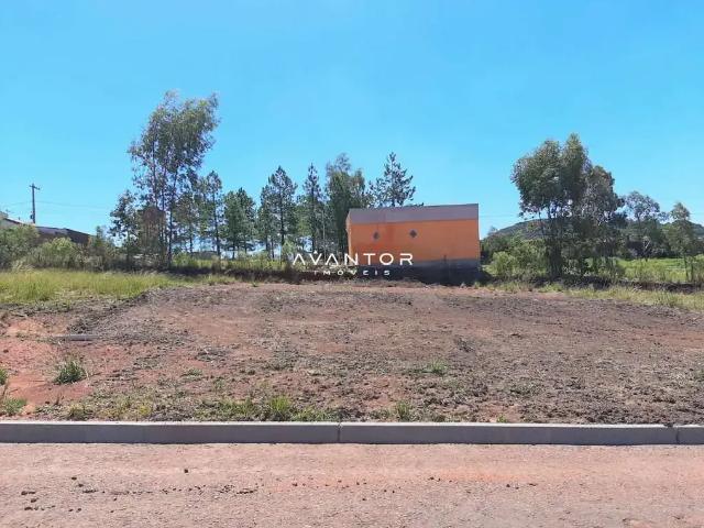 Terreno / Lote para Venda em Santa Maria/RS Tomazetti