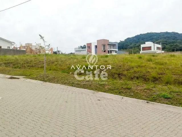 Terreno / Lote para Venda em Santa Maria/RS Tomazetti