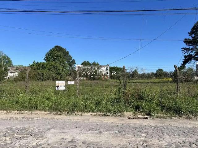 Terreno / Lote para Venda em Santa Maria/RS Tomazetti