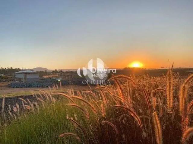 Terreno / Lote para Venda em Santa Maria/RS Tomazetti