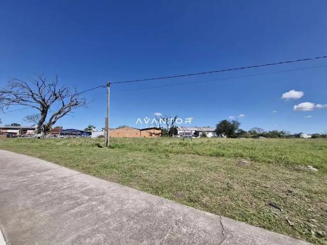Terreno / Lote para Venda em Santa Maria/RS Uglione