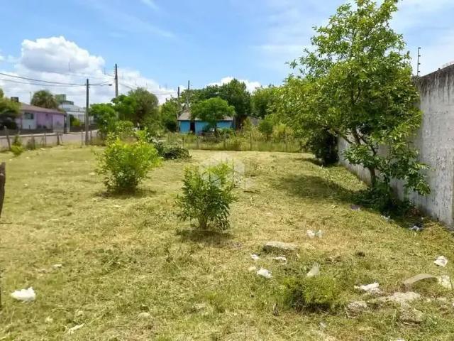 Terreno / Lote para Venda em Santa Maria/RS Urlândia