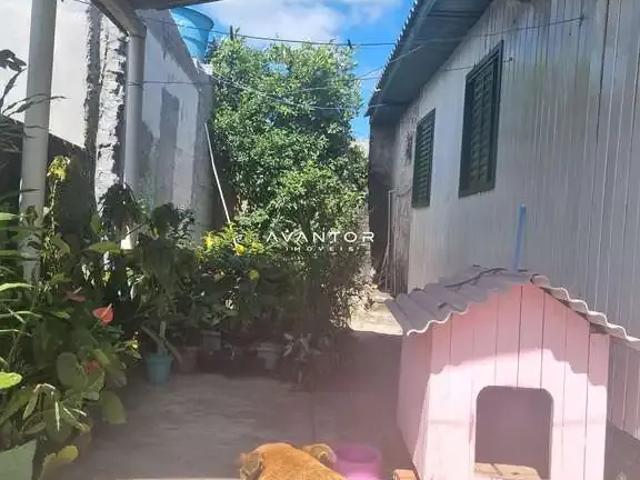 Terreno / Lote para Venda em Santa Maria/RS Urlândia