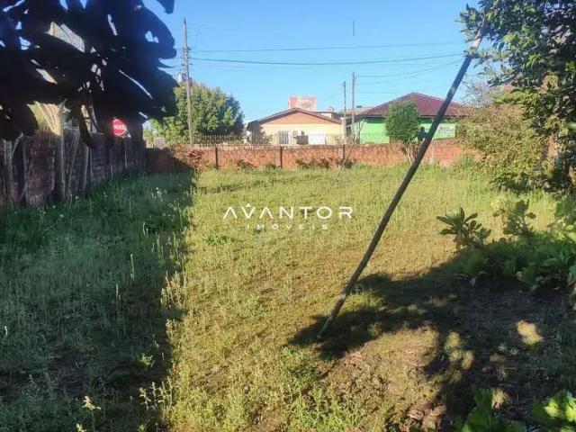 Terreno / Lote para Venda em Santa Maria/RS Urlândia