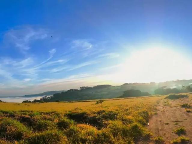 Terreno / Lote para Venda em Santa Rita do Passa Quatro/SP Centro