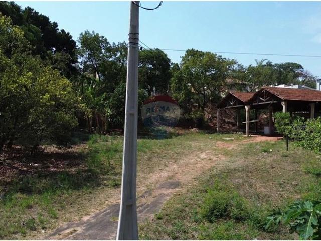 Terreno / Lote para Venda em Santa Rosa de Viterbo/SP Centro