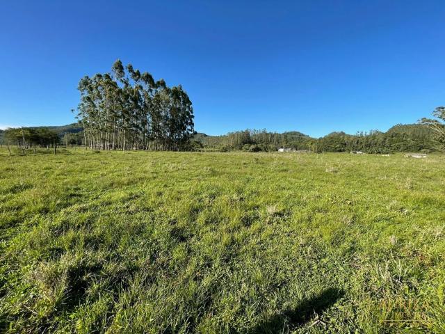 Terreno / Lote para Venda em Santa Rosa do Sul/SC Barro Preto