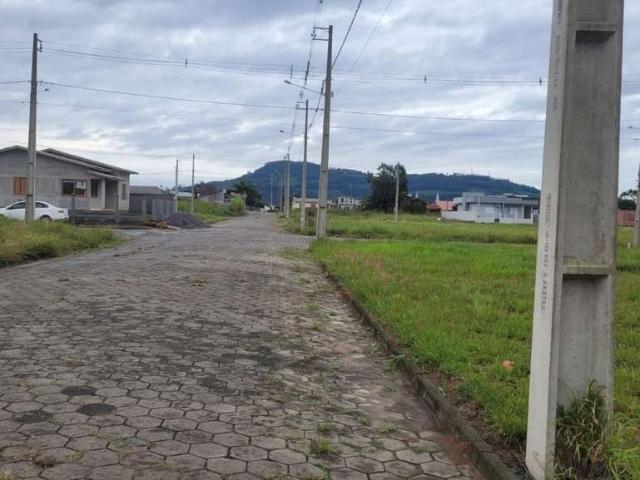Terreno / Lote para Venda em Santa Rosa do Sul/SC Centro