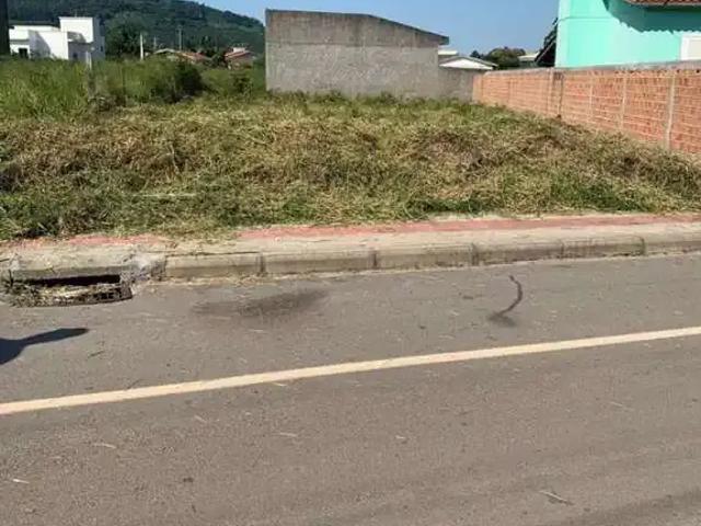 Terreno / Lote para Venda em Santa Rosa do Sul/SC Centro