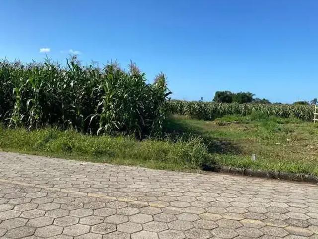 Terreno / Lote para Venda em Santa Rosa do Sul/SC Vila São Cristovão