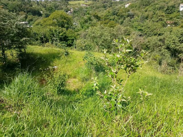 Terreno / Lote para Venda em Santana de Parnaíba/SP Chácara das Garças