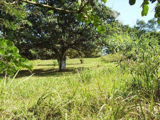 Terreno / Lote para Venda em Santana de Parnaíba/SP Jardim Parnaíba