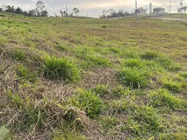 Terreno / Lote para Venda em Santana de Parnaíba/SP Loteamento Jardim das Flores