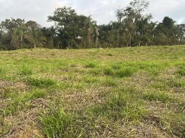 Terreno / Lote para Venda em Santana de Parnaíba/SP Loteamento Jardim das Flores