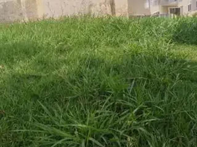Terreno / Lote para Venda em Santana de Parnaíba/SP Suru
