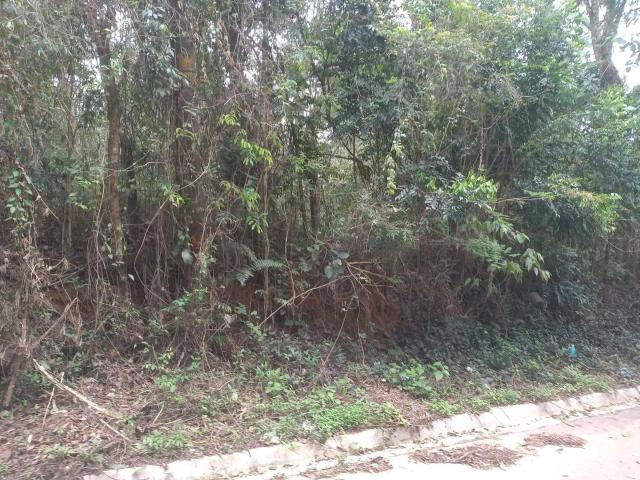 Terreno / Lote para Venda em Santana de Parnaíba/SP Parque Mirante de Parnaíba