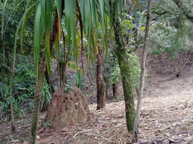 Terreno / Lote para Venda em Santana de Parnaíba/SP Parque Mirante de Parnaíba