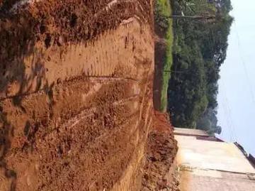 Terreno / Lote para Venda em Santana de Parnaíba/SP Parque Sinai