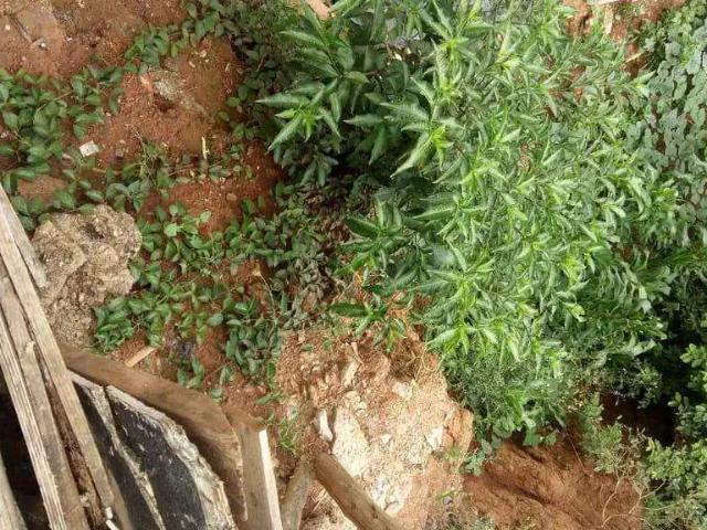 Terreno / Lote para Venda em Santana de Parnaíba/SP Refúgio dos Bandeirantes