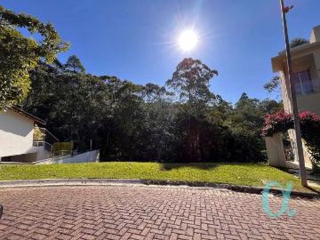 Terreno / Lote para Venda em Santana de Parnaíba/SP Tamboré