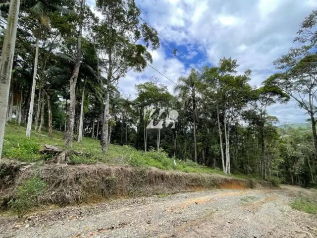 Terreno / Lote para Venda em Santo Amaro da Imperatriz/SC Centro