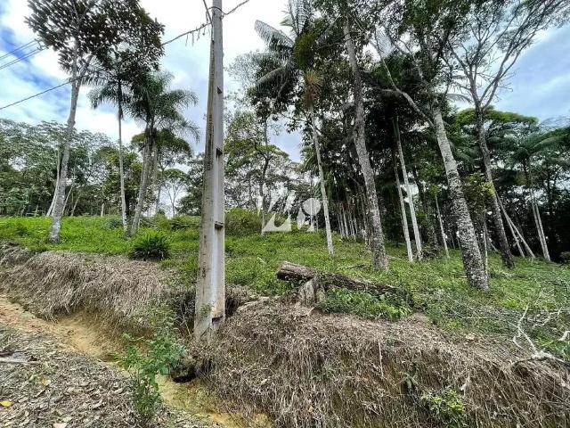 Terreno / Lote para Venda em Santo Amaro da Imperatriz/SC Centro