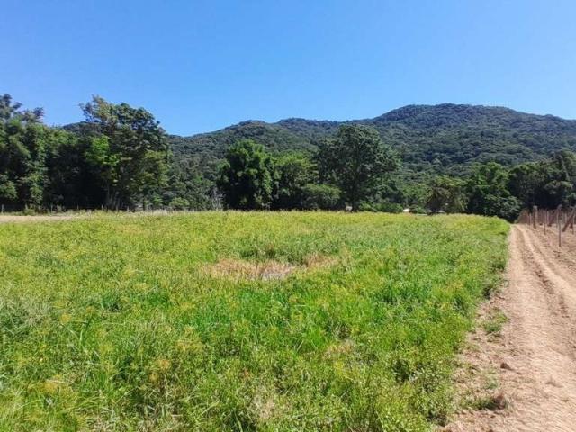 Terreno / Lote para Venda em Santo Amaro da Imperatriz/SC Sul do Rio
