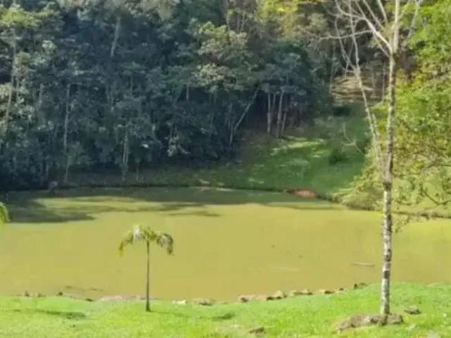 Terreno / Lote para Venda em Santo Amaro da Imperatriz/SC Varginha