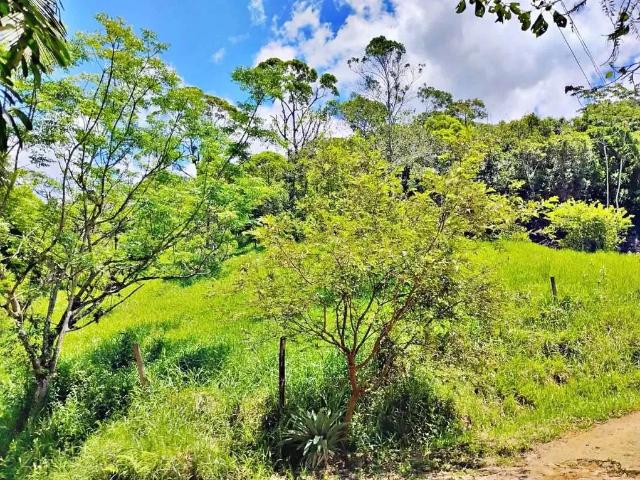 Terreno / Lote para Venda em Santo Amaro da Imperatriz/SC Varginha