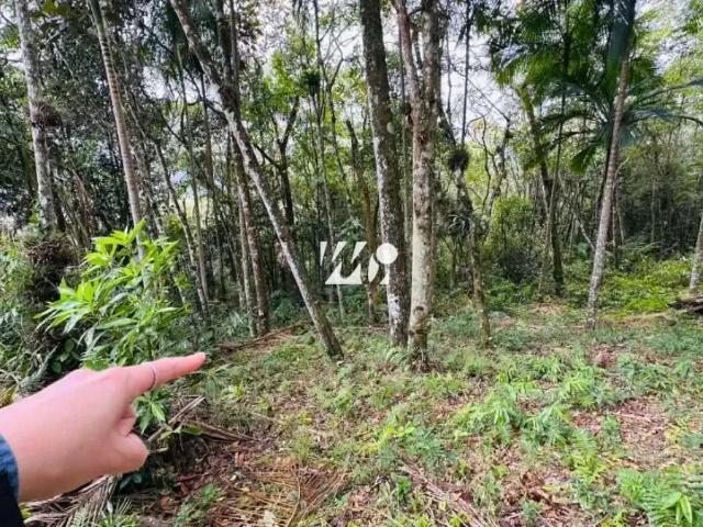 Terreno / Lote para Venda em Santo Amaro da Imperatriz/SC Centro