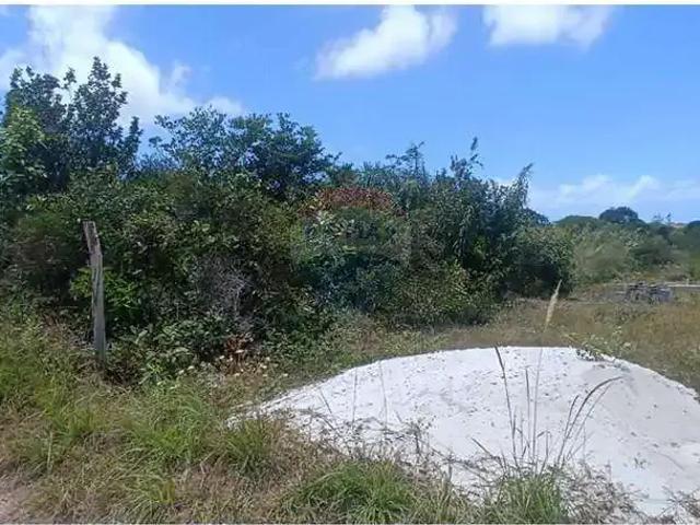 Terreno / Lote para Venda em Santo Amaro das Brotas/SE Centro
