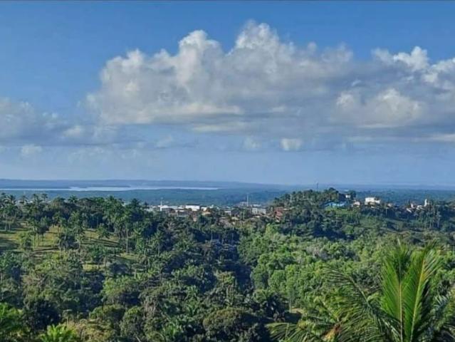 Terreno / Lote para Venda em Santo Amaro/BA Centro