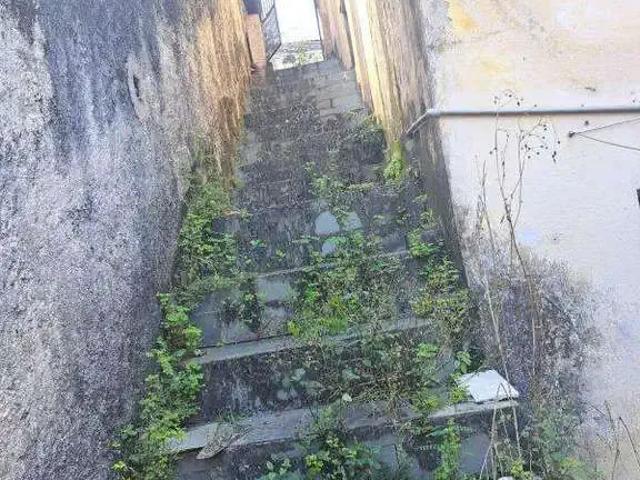 Terreno / Lote para Venda em Santo André/SP Jardim do Estádio 2 Quartos