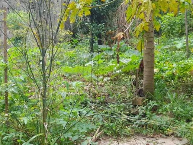 Terreno / Lote para Venda em Santo André/SP Jardim Las Vegas