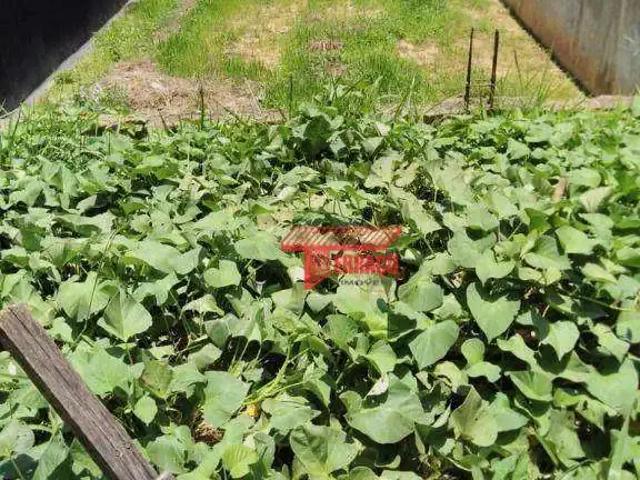 Terreno / Lote para Venda em Santo André/SP Jardim Santo André