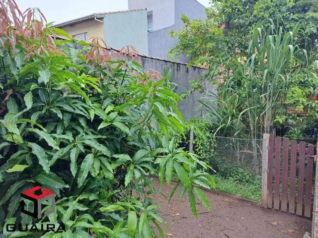 Terreno / Lote para Venda em Santo André/SP Jardim Santo Antônio de Pádua