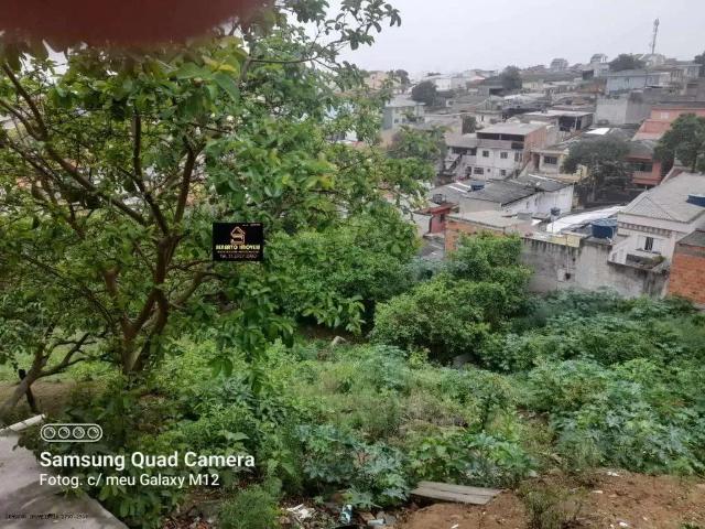 Terreno / Lote para Venda em Santo André/SP Jardim Santo Antônio