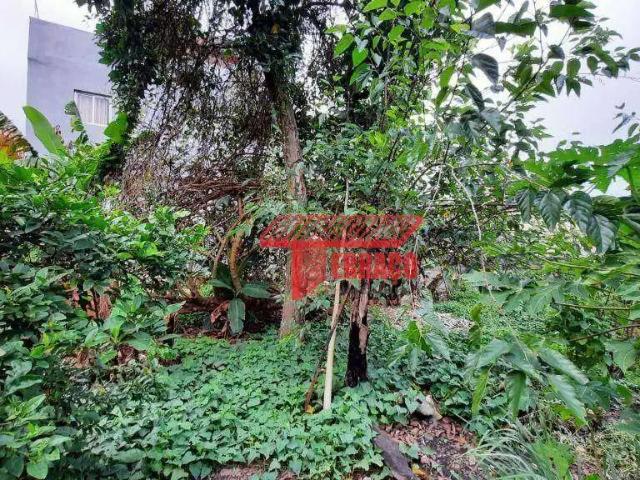 Terreno / Lote para Venda em Santo André/SP Jardim Stella
