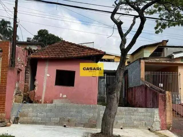 Terreno / Lote para Venda em Santo André/SP Jardim Stella 2 Quartos