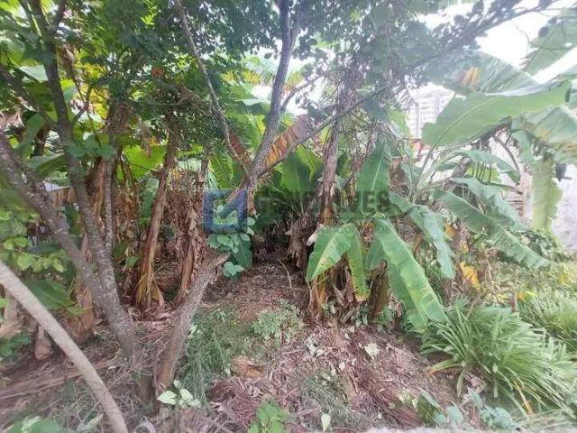 Terreno / Lote para Venda em Santo André/SP Paraíso