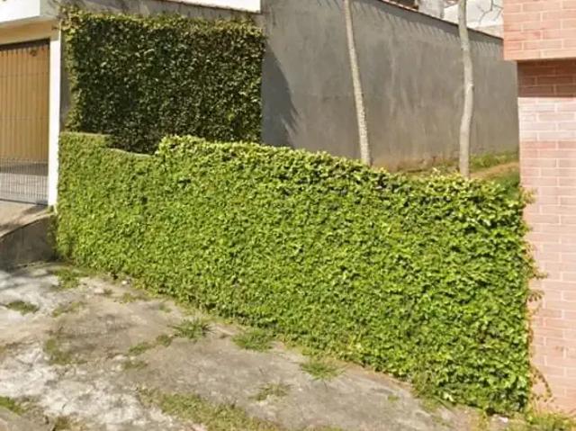 Terreno / Lote para Venda em Santo André/SP Parque Marajoara