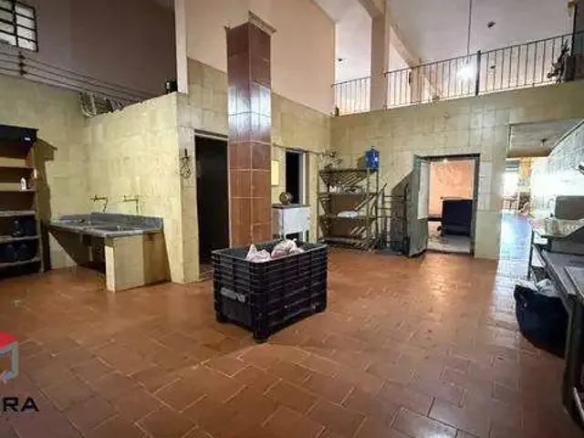 Terreno / Lote para Venda em Santo André/SP Santa Terezinha 4 Quartos