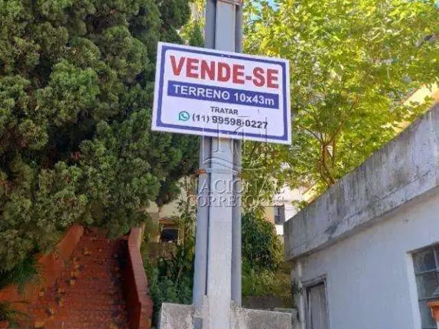 Terreno / Lote para Venda em Santo André/SP Santa Teresinha