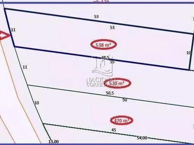 Terreno / Lote para Venda em Santo André/SP Vila Curuçá